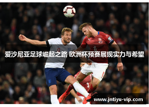 爱沙尼亚足球崛起之路 欧洲杯预赛展现实力与希望