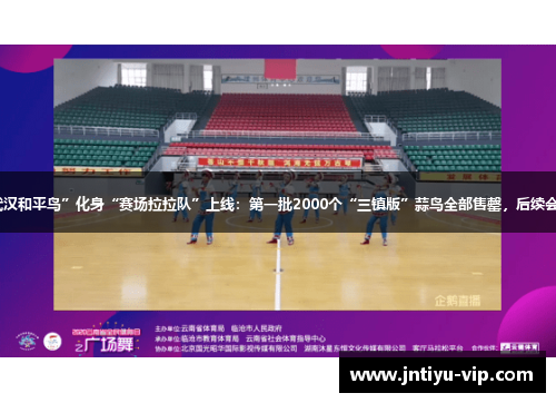 “武汉和平鸟”化身“赛场拉拉队”上线：第一批2000个“三镇版”蒜鸟全部售罄，后续会补货